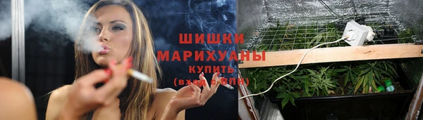 индика Абаза