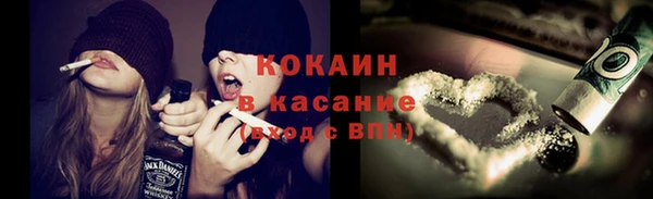 индика Абаза