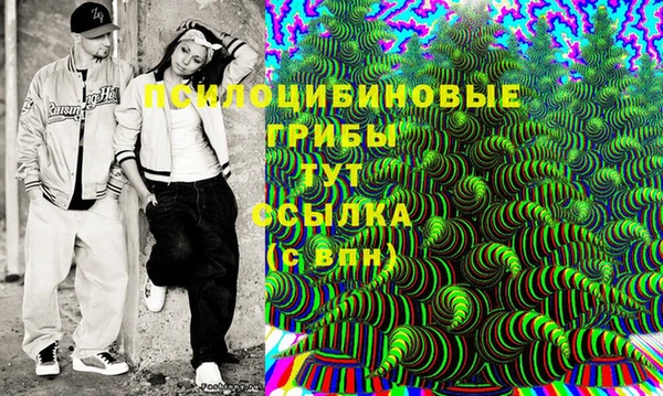 PSILOCYBIN Алзамай