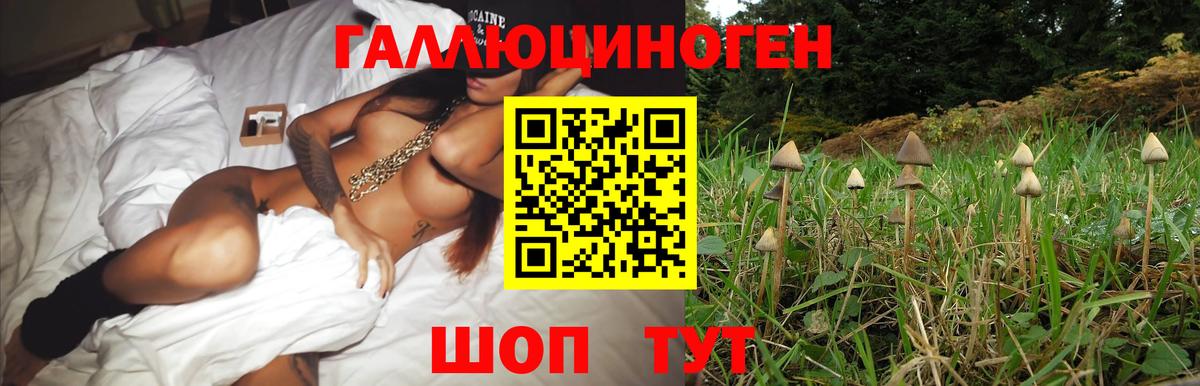 Галлюциногенные грибы мицелий  Вход с VPN  Нижний Новгород 