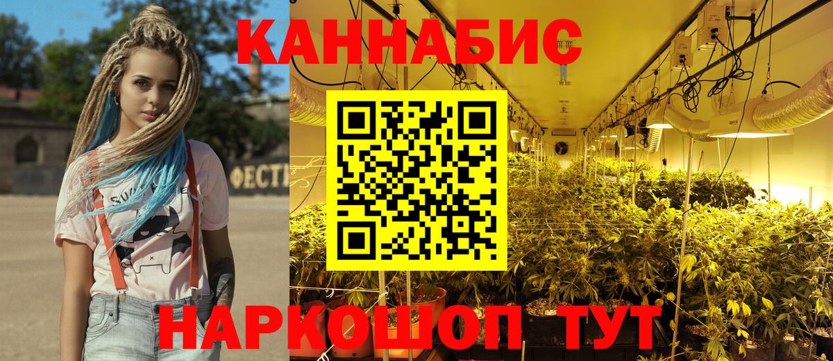 Шишки марихуана сатива Нижний Новгород